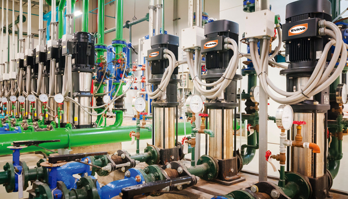 Asesoría Profesional