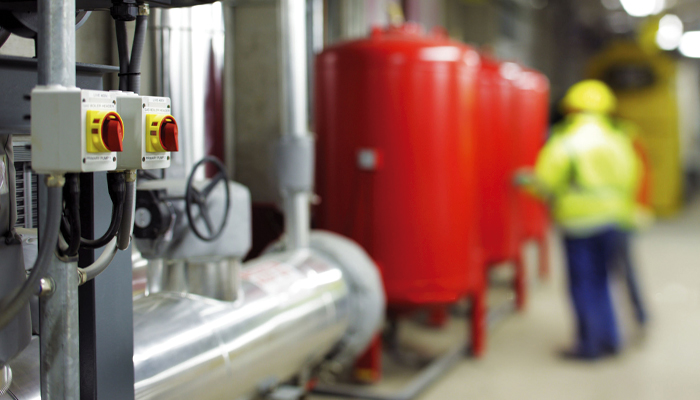 Asesoría Profesional